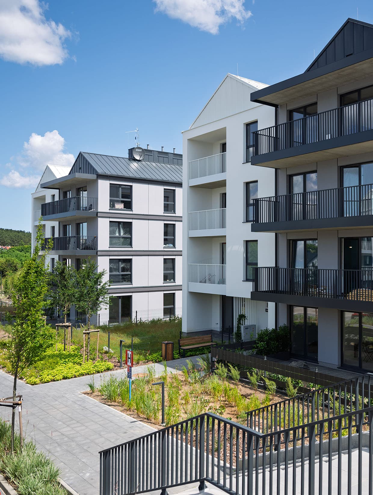 Kameralność ponad wszystko