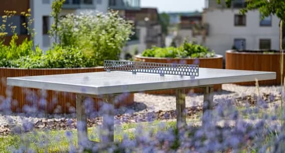 Dbamy o formę w Leszczynowym Parku - Firma - Deweloper DOMESTA