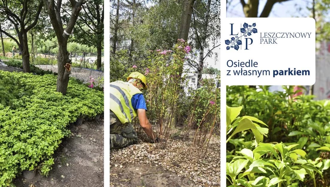 Mieszkania z odbiorem w 2022