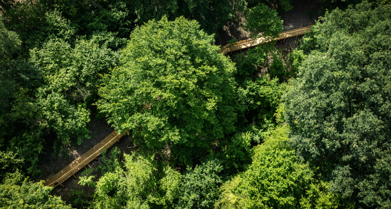 Tereny rekreacyjne nad potokiem