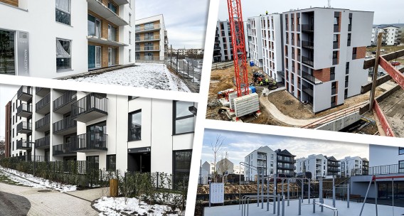 Styczniowe dzienniki budów