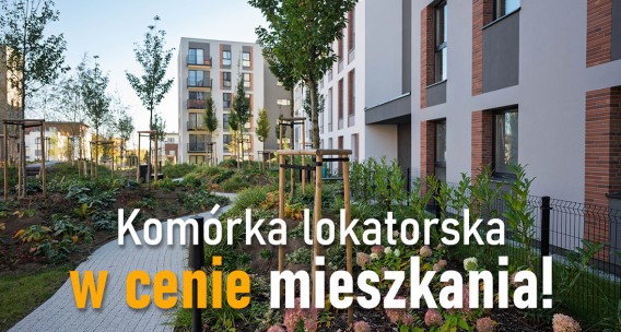 Limitowana OFERTA SPECJALNA!