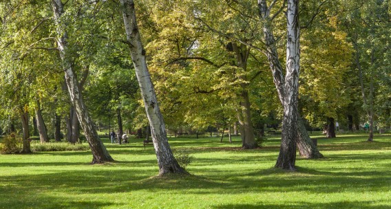 Dzień otwarty 27 września