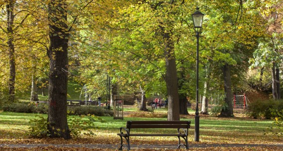 Dzień otwarty 27 września