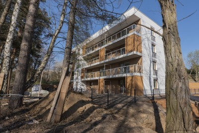 Z wizytą na budowie: Robinia