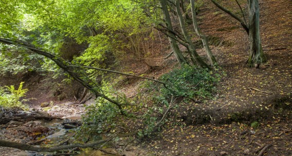 Obok Osiedla Urzeka powstanie Park Południowy!